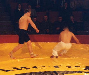 Знакомьтесь: чемпион.